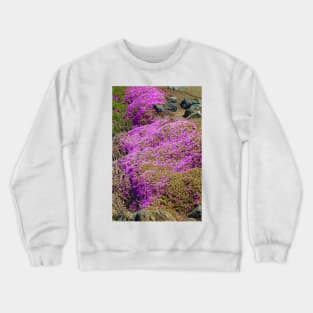 SF Bay in Pink Crewneck Sweatshirt